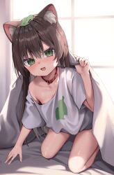 Rule 34 | 1girl, absurdres, animal collar, animal ear fluff, animal ears, brown hair, collar, day, fang, highres, indoors, leaf, leaf on head, long hair, looking at viewer, mannack, off shoulder, open mouth, original, oversized clothes, oversized shirt, raccoon ears, raccoon girl, red collar, shirt, short sleeves, skin fang, sweat, under covers, white shirt, window