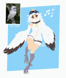 Rule 34 | 1girl, anklet, bare shoulders, beamed eighth notes, bird legs, black feathers, blue background, blush stickers, bright pupils, character sheet, commentary, creature and personification, dress, eighth note, english commentary, fake beak, feathers, goggles, goggles on head, harpy, highres, jaya (lightklok), jewelry, lightklok, medium hair, monster girl, musical note, parted bangs, quarter note, sleeveless, sleeveless dress, solo, talons, two-tone background, two-tone wings, white background, white dress, white feathers, white hair, white pupils, white wings, winged arms, wings, zipper dress, zipper pull tab