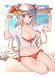 Rule 34 | 1girl, nanashi inc., arms up, bad id, bad twitter id, bare legs, beach, bikini, blue bow, blue ribbon, blush, bow, breasts, cleavage, collarbone, cone hair bun, crab, day, front-tie bikini top, front-tie top, grey hair, hair bun, hat, hat bow, hat ribbon, highres, honey strap, large breasts, long hair, looking at viewer, multicolored hair, navel, outdoors, parted lips, pointy ears, red eyes, red hair, ribbon, rippootai, shirt, side-tie bikini bottom, sitting, smile, solo, streaked hair, sun hat, suou patra, swimsuit, tail, two-tone hair, virtual youtuber, water, wet, wet clothes, wet shirt