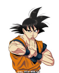 Rule 34 | 1boy, black eyes, black hair, dragon ball, dragonball z, fighting stance, looking to the side, male focus, medium hair, muscular, muscular male, own hands together, smile, solo, son goku, spiked hair, tarutobi, upper body, white background