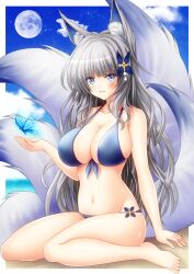 Rule 34 | 1girl, alternate costume, animal ear fluff, animal ears, azur lane, bikini, blue bikini, blue butterfly, breasts, bug, butterfly, cloud, full body, full moon, grey hair, hair ornament, highres, insect, large breasts, large tail, long hair, looking at viewer, magic, moon, multiple tails, night, night sky, osashin (osada), purple eyes, shinano (azur lane), sky, solo, star (sky), starry sky, swimsuit, tail