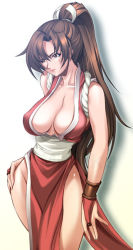 Rule 34 | 1girl, bad id, bad pixiv id, breasts, bridal gauntlets, brown eyes, brown hair, cleavage, fatal fury, hand on own hip, hip focus, kira keita, large breasts, loincloth, long hair, no bra, no panties, pelvic curtain, ponytail, rope, shiranui mai, snk, solo, the king of fighters, wristband
