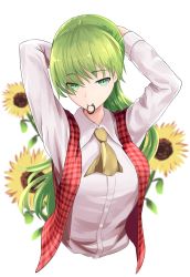 Rule 34 | 1girl, adjusting hair, arms behind head, arms up, ascot, collared shirt, commentary request, flower, green hair, hair tie, hair tie in mouth, hands in hair, highres, holding, holding hair, kamiya ueshi, kazami yuuka, long hair, long sleeves, mouth hold, plaid, plaid vest, shirt, sunflower, touhou, touhou (pc-98), tying hair, upper body, very long hair, vest, white shirt, yellow ascot