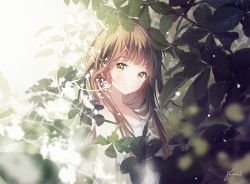 Rule 34 | 1girl, brown hair, closed mouth, commentary request, dress, eyebrows, forest, gomzi, hair over shoulder, leaf, leaf background, light smile, long hair, looking at viewer, nature, original, plant, solo, tree, white dress, yellow eyes