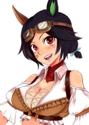 Rule 34 | 1girl, absurdres, animal ears, bandage on face, bandages, bandana, black hair, blue ribbon, breasts, cleavage, clothing cutout, collared shirt, commentary request, ear covers, frilled shirt, frills, goggles, goggles on head, hair ribbon, highres, horse ears, horse girl, looking at viewer, low twintails, medium breasts, ogman, open mouth, red bandana, red eyes, ribbon, shirt, short hair, short sleeves, shoulder cutout, simple background, single ear cover, smile, solo, swept bangs, twintails, umamusume, white background, white shirt, winning ticket (dream deliverer) (umamusume), winning ticket (umamusume)