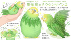 Rule 34 | animal, animal focus, beamed sixteenth notes, bird, bird on hand, commentary request, closed eyes, fingernails, green theme, head tilt, highres, holding, holding animal, looking at viewer, motion blur, motion lines, multiple views, musical note, nuzzle, open mouth, original, out of frame, parakeet, ponkichi (ponkichim), solo focus, sound effects, spread wings, tongue, translation request