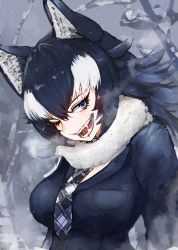 Rule 34 | 1girl, adeshi (adeshi0693119), animal ears, arms at sides, black hair, blue eyes, breast pocket, breasts, breath, day, eyelashes, fangs, fur collar, grey wolf (kemono friends), hair between eyes, highres, jacket, kemono friends, large breasts, long hair, long sleeves, looking at viewer, multicolored hair, necktie, one eye closed, open mouth, outdoors, plaid necktie, plaid neckwear, pocket, smile, snow, solo, teeth, two-tone hair, upper body, white hair, wolf ears, wolf girl