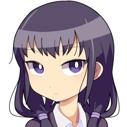 Rule 34 | 1girl, black hair, bright pupils, closed mouth, collared shirt, commentary request, expressionless, hair over shoulder, hospital king, long hair, looking at viewer, low twintails, portrait, purple eyes, shirt, simple background, solo, tamura yuri, twintails, watashi ga motenai no wa dou kangaetemo omaera ga warui!, white background, white pupils, white shirt