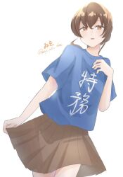 Rule 34 | 1girl, artist name, blue shirt, brown hair, brown skirt, clothes writing, cowboy shot, highres, kantai collection, long hair, one-hour drawing challenge, orange eyes, pleated skirt, shirt, simple background, skirt, solo, souya (kancolle), standing, twitter username, white background, wiwo