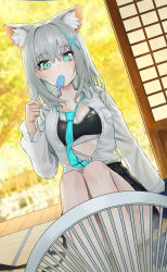 Rule 34 | 1girl, absurdres, animal ears, ass, blue archive, blue eyes, blurry, breasts, cleavage, collarbone, collared shirt, commentary request, depth of field, earpiece, electric fan, food, grey hair, hair between eyes, highres, hot, ildy, knees up, long sleeves, looking at viewer, mismatched pupils, mouth hold, necktie, pleated skirt, popsicle, school uniform, shiroko (blue archive), shirt, short hair, shouji, sidelocks, sitting, skirt, sliding doors, solo, sports bra, sweat, tatami, wolf ears, wolf girl, wooden floor