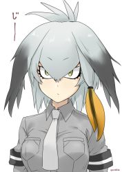 Rule 34 | 10s, 1girl, bird wings, blonde hair, breasts, commentary request, expressionless, green eyes, grey hair, grey shirt, hair between eyes, hair flaps, hair tie, head wings, kemono friends, large breasts, looking at viewer, multicolored hair, necktie, non (nonzile), shirt, shoebill (kemono friends), short sleeves, sidelocks, solo, staring, translated, twitter username, upper body, white background, wings
