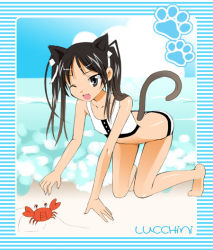 Rule 34 | 1girl, all fours, animal ears, bad id, bad pixiv id, barefoot, beach, bikini, black eyes, black hair, cat ears, cat tail, crab, crustacean, francesca lucchini, long hair, one eye closed, riri06, solo, strike witches, swimsuit, tail, twintails, wink, world witches series