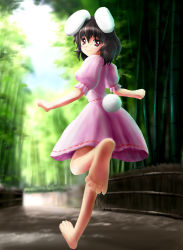 Rule 34 | 1girl, :3, animal ears, bamboo, bamboo forest, barefoot, black hair, feet, female focus, forest, inaba tewi, looking back, nature, nyagoro, rabbit ears, rabbit girl, rabbit tail, red eyes, running, short hair, smile, soles, solo, tail, touhou