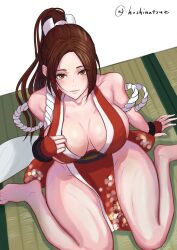 Rule 34 | 1girl, breasts, cleavage, fatal fury, highres, large breasts, long hair, ponytail, shiranui mai, sideboob, snk, solo