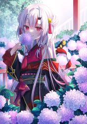 Rule 34 | 1girl, bell, blush, commentary request, flower, hair bell, hair ornament, hair ribbon, haruhitooo, highres, holding, holding flower, hololive, horns, hydrangea, long hair, long sleeves, looking at viewer, multicolored hair, nakiri ayame, nakiri ayame (1st costume), obi, outdoors, red eyes, red hair, ribbon, sash, sheath, sheathed, skin-covered horns, smile, solo, streaked hair, tress ribbon, virtual youtuber, weapon, weapon on back, white hair