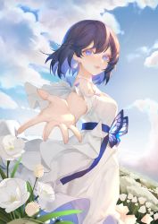 Rule 34 | 1girl, absurdres, bare shoulders, blue eyes, blue hair, blue sky, cloud, cloudy sky, drawstory, dress, flower, grass, highres, honkai (series), honkai impact 3rd, lips, looking at viewer, outdoors, outstretched arm, seele vollerei, seele vollerei (swallowtail phantasm), short hair, sky, smile, solo, sundress, white dress, white flower