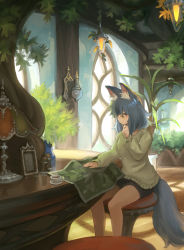 Rule 34 | 1girl, animal ear fluff, animal ears, bad id, bad pixiv id, black shorts, blunt bangs, brown sweater, closed mouth, coffee, commentary, cup, day, etta, grey hair, grey tail, hand on own chin, hanging light, highres, indoors, lamp, long sleeves, looking down, map (object), medium hair, on stool, original, picture frame, plant, potted plant, saucer, short shorts, shorts, sitting, solo, steam, stool, sweater, table, tail, tsurime, window, yellow eyes