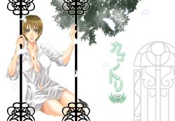 Rule 34 | 1990s (style), 1girl, bottomless, breasts, brown hair, cage, cleavage, feathers, green eyes, jewelry, kanzaki hitomi, lips, looking at viewer, navel, pendant, short hair, solo, tajima minato, tenkuu no escaflowne, unbuttoned