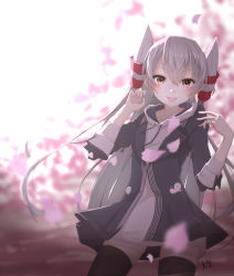 Rule 34 | 1girl, amatsukaze (kancolle), black thighhighs, buttons, cherry blossoms, day, hair between eyes, hair tubes, hood, hood down, hoodie, jacket, kantai collection, long hair, neve (morris-minicooper), open mouth, outdoors, petals, signature, silver hair, solo, thighhighs, two side up, yellow eyes