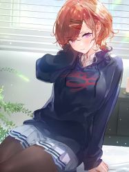 Rule 34 | 1girl, a2ki, arm support, black sweater, window blinds, blush, brown hair, brown pantyhose, closed mouth, collared shirt, commentary request, cowboy shot, day, drawstring, hair ornament, hairclip, hand on own cheek, hand on own face, hand up, head tilt, highres, higuchi madoka, idolmaster, idolmaster shiny colors, indoors, lens flare, light particles, long sleeves, looking at viewer, miniskirt, mole, mole under eye, pantyhose, plant, pleated skirt, purple eyes, shirt, short hair, sitting, skirt, sleeves past wrists, solo, sweater, swept bangs, white shirt, white skirt, window