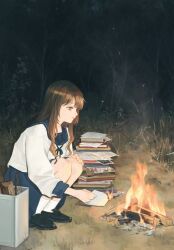 Rule 34 | 1girl, black footwear, black sailor collar, black skirt, book, book stack, brown eyes, brown hair, bug, burning, expressionless, fire, grass, highres, holding, holding paper, leaf, long hair, long sleeves, original, outdoors, paper, profile, sailor collar, shirt, shoes, skirt, solo, squatting, tree, utsuwa0120, white shirt, wide shot, wood