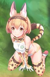 Rule 34 | 10s, 1girl, animal ears, bare shoulders, blonde hair, bow, bowtie, breasts, buruma, commentary request, crop top, crop top overhang, elbow gloves, from above, full body, gloves, hairband, highres, japan racing association, kemono friends, kneeling, konnyaku (kk-monmon), looking at viewer, medium breasts, on ground, serval (kemono friends), serval print, serval tail, shoe soles, shoes, short hair, smile, solo, tail, thighhighs, v arms, white footwear, yellow eyes