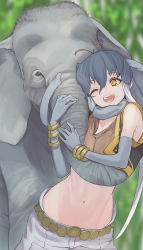 Rule 34 | 1girl, animal ears, black vest, borneo elephant (kemono friends), brown shirt, commentary request, cowboy shot, crop top, don3, elbow gloves, elephant, elephant ears, elephant girl, extra ears, gloves, gold belt, gold bracelet, gold trim, grey gloves, grey hair, grey neckwear, grey shorts, highres, kemono friends, midriff, multicolored hair, navel, one eye closed, open clothes, open vest, scarf, shirt, short hair, short hair with long locks, shorts, sidelocks, sleeveless, solo, vest, white hair, yellow eyes