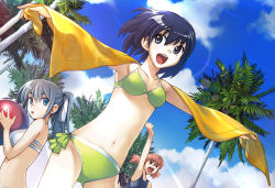 Rule 34 | &gt; &lt;, 3girls, arm up, ball, bikini, black hair, blue eyes, brown hair, closed eyes, cloud, day, grey hair, hirokiku, multiple girls, navel, open mouth, original, outdoors, outstretched arms, palm tree, sky, spread arms, swimsuit, tree