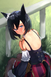 Rule 34 | 1girl, animal ears, back, back focus, bare shoulders, black hair, black pantyhose, blue eyes, blush, closed mouth, clothing cutout, colored stripes, day, eishin flash (umamusume), frilled skirt, frilled sleeves, frills, from behind, grass, hair between eyes, highres, horse ears, horse girl, horse tail, looking at viewer, looking back, on grass, on ground, outdoors, pantyhose, ponytail, short hair, shoulder blades, sitting, skirt, smile, solo, solokitsune, sparkle, striped clothes, striped skirt, sweat, tail, tail through clothes, umamusume, vertical-striped clothes, vertical-striped skirt