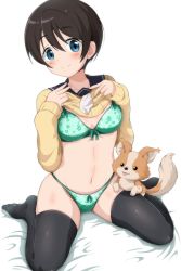 Rule 34 | 1girl, black hair, black thighhighs, blue eyes, blush, bow, bow bra, bow panties, bra, breasts, chihuahua, chikuwa (yurucamp), cleavage, closed mouth, clothes lift, collarbone, dog, eggman (pixiv28975023), green bra, green panties, groin, highres, lifted by self, lingerie, looking at viewer, medium breasts, navel, necktie, panties, saitou ena, school uniform, shirt lift, short hair, simple background, smile, thighhighs, underwear, white background, yurucamp