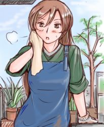 Rule 34 | 00s, blush, brown eyes, brown hair, dirty, gloves, long hair, aged up, overalls, plant, potted plant, rozen maiden, sigh, sleeves rolled up, solo, suiseiseki, sweatdrop, tsuda nanafushi, wiping