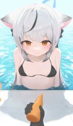 Rule 34 | 1girl, 1other, absurdres, animal ears, bare arms, bare shoulders, bikini, black bikini, black hair, blue archive, blue halo, blush, breasts, carrot, closed mouth, ellaje, food, grey hair, halo, highres, kokona (blue archive), long hair, looking at viewer, multicolored hair, orange eyes, partially submerged, pool, small breasts, solo focus, streaked hair, swimsuit, tiger ears, vegetable, water