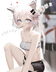 Rule 34 | 2girls, absurdres, alternate hairstyle, animal ears, arknights, bandeau, bare arms, bare shoulders, black legwear, black shorts, blue eyes, blurry, blush, breasts, collarbone, commentary, food, food in mouth, hair ornament, hairclip, head out of frame, heart, highres, jacket, knee up, kuilsa, lappland (arknights), long hair, looking at viewer, material growth, medium breasts, midriff, mouth hold, multiple girls, oripathy lesion (arknights), pantyhose, pocky, ponytail, scar, scar across eye, scar on face, short shorts, shorts, silver hair, simple background, stomach, strapless, tail, texas (arknights), thighs, translation request, tube top, white background, white jacket, wolf ears, wolf tail