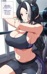 Rule 34 | 1girl, animal ears, bare arms, bare shoulders, black hair, black shorts, blue eyes, breasts, cleavage, commentary request, crop top, highres, horse ears, indoors, large breasts, long hair, looking at viewer, mejiro ramonu (umamusume), midriff, navel, parted lips, ponytail, sheita, short shorts, shorts, sitting, solo, sports bra, stomach, tail, thighs, umamusume, very long hair