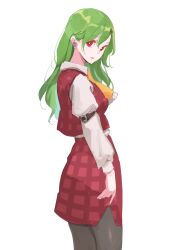 Rule 34 | 1girl, ascot, commentary request, earrings, flower earrings, green hair, highres, jewelry, juliet sleeves, kazami yuuka, long hair, long sleeves, looking back, pantyhose, plaid, plaid skirt, plaid vest, puffy sleeves, red eyes, red skirt, red vest, shirt, skirt, solo, tohoyuukarin, touhou, variant set, vest, white shirt, yellow ascot
