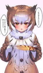 Rule 34 | 1girl, bird girl, bird wings, black hair, blush, brown coat, brown hair, coat, commentary, eurasian eagle owl (kemono friends), feathers, fur collar, gloves, hair between eyes, head wings, kemono friends, long sleeves, looking at viewer, multicolored coat, multicolored hair, orange eyes, owl ears, owl girl, short hair, sidelocks, solo, tadano magu, translated, upper body, white coat, white fur, white gloves, white hair, wings, winter clothes, winter coat