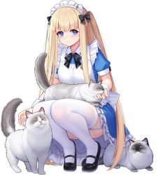 Rule 34 | 1girl, allenes, animal, azur lane, black bow, black footwear, blonde hair, blue eyes, bow, cat, full body, garter straps, highres, icarus (at your service) (azur lane), icarus (azur lane), kneeling, long hair, looking at viewer, maid, maid headdress, official alternate costume, official art, smile, thighhighs, transparent background, white thighhighs