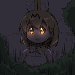 Rule 34 | 10s, 1girl, :d, animal ears, bad id, bad pixiv id, bare shoulders, blonde hair, bow, bowtie, breasts, bush, commentary request, elbow gloves, extra ears, gloves, glowing, glowing eyes, hair between eyes, highres, kemono friends, looking away, medium breasts, night, open mouth, outdoors, print bow, print bowtie, print neckwear, serval (kemono friends), serval print, shirt, sleeveless, sleeveless shirt, smile, solo, tatsuki (irodori) (style), u-non (annon&#039;an), white shirt