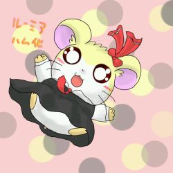 Rule 34 | 1girl, :d, animal, animalization, black dress, blonde hair, clothed animal, dress, female focus, full body, hamster, hamtaro (series), long sleeves, looking at viewer, open mouth, outstretched arms, red eyes, rumia, smile, solo, touhou, whiskers, y.w (pixiv), y.w (works)
