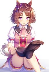 Rule 34 | 1girl, akashio (loli ace), animal ears, black socks, blush, breasts, brown hair, closed mouth, collared shirt, commentary request, dress shirt, feet, feet out of frame, highres, horse ears, horse girl, horse tail, kneehighs, parted bangs, pink vest, puffy short sleeves, puffy sleeves, purple eyes, sakura laurel (umamusume), shirt, short shorts, short sleeves, shorts, simple background, small breasts, smile, sock pull, socks, soles, solo, tail, umamusume, vest, white background, white shirt, white shorts