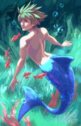 Rule 34 | 1boy, air bubble, blue eyes, brown hair, bubble, fins, fish, fish tail, from behind, highres, kingdom hearts, looking to the side, male focus, merman, mimamilux, monster boy, parted lips, shark tail, short hair, solo, sora (kingdom hearts), spiked hair, swept bangs, swimming, tail, toned, toned male, topless male, underwater