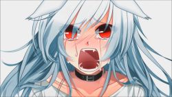 Rule 34 | 1girl, animal ears, artist request, character request, choker, copyright request, crying, crying with eyes open, looking at viewer, non-web source, red eyes, screaming, shirt, shouting, sobbing, solo, streaming tears, t-shirt, tears, white background, white shirt