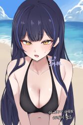 1girl absurdres beach bikini black_bikini black_hair blue_hair blue_sky blush breasts cleavage day highres lilpa long_hair looking_at_viewer lsssssss medium_breasts multicolored_hair navel ocean open_mouth outdoors paid_reward_available sky solo streaked_hair sweatdrop swimsuit very_long_hair virtual_youtuber waktaverse water yellow_eyes