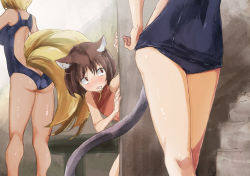 Rule 34 | 3girls, animal ears, ass, bare shoulders, blonde hair, brown eyes, brown hair, butt crack, cat ears, chen, drooling, fox tail, hand on own hip, mouse tail, mouth drool, multiple girls, multiple tails, nazrin, no headwear, no headwear, peeking out, short hair, standing, swimsuit, tail, touhou, v-shaped eyebrows, yakumo ran, yohane
