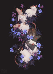 Rule 34 | 6+others, animal, animal ears, animal focus, artist logo, black eyes, blue flower, commission, dark background, flower, heart, highres, mouse (animal), mouse ears, mouse tail, multiple others, no humans, norapotwora, original, purple flower, red eyes, simple background, smelling, tail, two-tone fur, whiskers