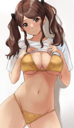 Rule 34 | 1girl, amagami, bikini, bikini under clothes, black bow, blush, bow, breasts, brown eyes, brown hair, cleavage, clothes lift, commentary, gluteal fold, gold bikini, hair bow, head tilt, highres, large breasts, lifting own clothes, long hair, looking at viewer, nakata sae, navel, no pants, revision, shirt, shirt lift, short sleeves, simple background, smile, solo, standing, stomach, swimsuit, t-shirt, twintails, white background, white shirt, yellow bikini, yoo tenchi