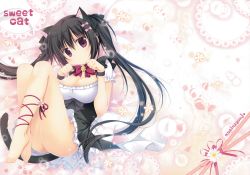Rule 34 | 1girl, absurdres, animal ears, bare legs, barefoot, black dress, black hair, black ribbon, blush, bow, bowtie, breasts, cat ears, cat girl, cat tail, cleavage, closed mouth, doily, dress, feet, frilled dress, frills, hair between eyes, hair ribbon, head tilt, highres, huge filesize, jewelry, korie riko, large breasts, leg ribbon, long hair, looking at viewer, no panties, original, petals, purple bow, purple bowtie, purple eyes, purple ribbon, ribbon, scan, solo, tail, toenails, toes, twintails, very long hair, white bow