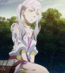Rule 34 | 1girl, black clover, breasts, cleavage, highres, large breasts, noelle silva, purple eyes, screencap, stitched, third-party edit, twintails, wet