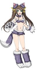 Rule 34 | 10s, 1girl, animal costume, animal ears, animal hands, breasts, brown hair, cleavage, collar, collarbone, eyebrows, fake animal ears, fang, full body, green eyes, grey legwear, grey skirt, hair ribbon, highres, huang lingyin, infinite stratos, long hair, looking at viewer, microskirt, navel, open mouth, ribbon, skirt, small breasts, solo, tail, transparent background, twintails, wolf costume, wolf ears, wolf tail, yellow ribbon