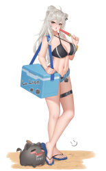 Rule 34 | 1girl, animal, animal ears, bare shoulders, bikini, black bikini, blue shorts, breasts, cleavage, food, fruit, full body, grey eyes, grey hair, highres, hololive, large breasts, long hair, looking at viewer, micro shorts, navel, open mouth, ponytail, sandals, shishiro botan, shorts, standing, stomach, swimsuit, thigh strap, thighs, virtual youtuber, watermelon, watermelon slice, wei xiao, white background